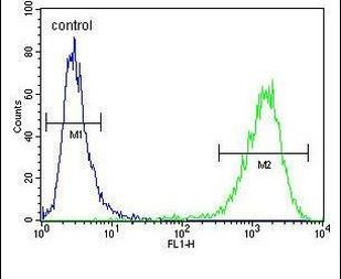 cGAS Antibody in Flow Cytometry (Flow)