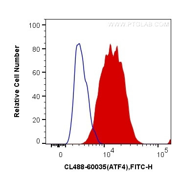 ATF4 Antibody in Flow Cytometry (Flow)