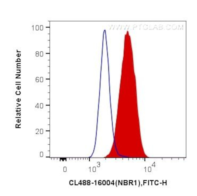 NBR1 Antibody in Flow Cytometry (Flow)