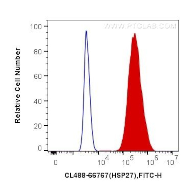 HSP27 Antibody in Flow Cytometry (Flow)