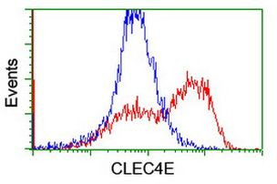 CLEC4E Antibody in Flow Cytometry (Flow)