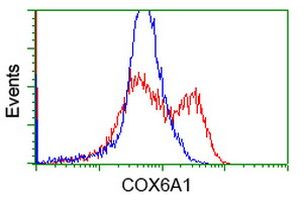 COX6A1 Antibody in Flow Cytometry (Flow)