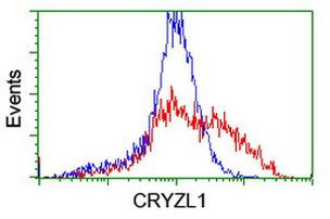 CRYZL1 Antibody in Flow Cytometry (Flow)