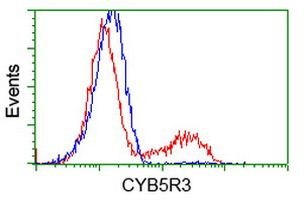 CYB5R3 Antibody in Flow Cytometry (Flow)