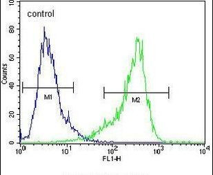 CYP26A1 Antibody in Flow Cytometry (Flow)
