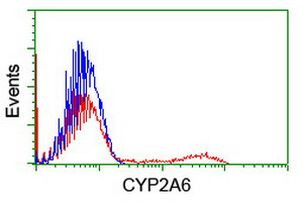 CYP2A6 Antibody in Flow Cytometry (Flow)