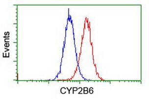 CYP2B6 Antibody in Flow Cytometry (Flow)