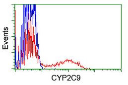 CYP2C9 Antibody in Flow Cytometry (Flow)