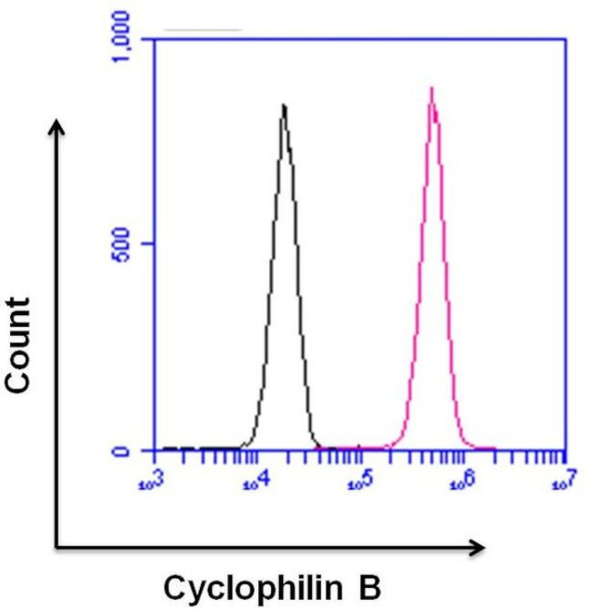 Cyclophilin B Antibody in Flow Cytometry (Flow)