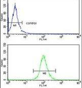 DCL-1 Antibody in Flow Cytometry (Flow)