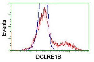 DCLRE1B Antibody in Flow Cytometry (Flow)