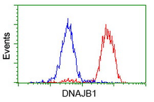 DNAJB1 Antibody in Flow Cytometry (Flow)