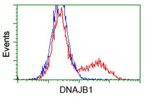 DNAJB1 Antibody in Flow Cytometry (Flow)