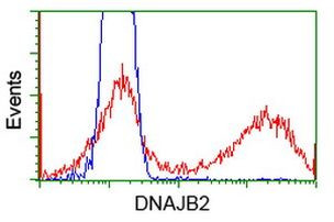 DNAJB2 Antibody in Flow Cytometry (Flow)
