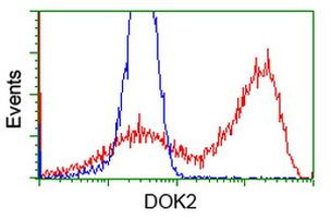 DOK2 Antibody in Flow Cytometry (Flow)