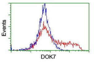 DOK7 Antibody in Flow Cytometry (Flow)