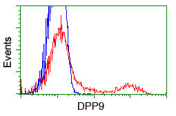 DPP9 Antibody in Flow Cytometry (Flow)