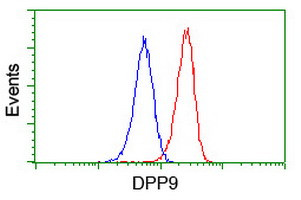 DPP9 Antibody in Flow Cytometry (Flow)