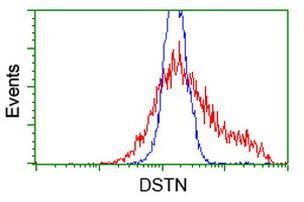 DSTN Antibody in Flow Cytometry (Flow)