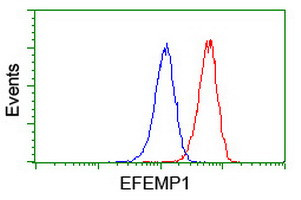 EFEMP1 Antibody in Flow Cytometry (Flow)