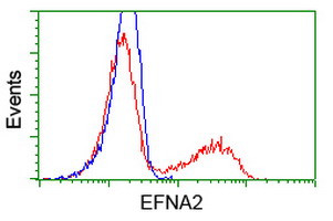 EFNA2 Antibody in Flow Cytometry (Flow)