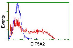 EIF5A2 Antibody in Flow Cytometry (Flow)