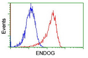 ENDOG Antibody in Flow Cytometry (Flow)