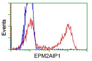 EPM2AIP1 Antibody in Flow Cytometry (Flow)