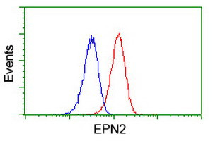 EPN2 Antibody in Flow Cytometry (Flow)