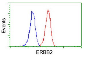 ERBB2 Antibody in Flow Cytometry (Flow)