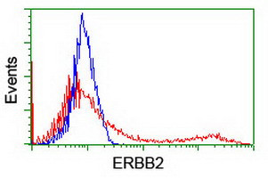 ERBB2 Antibody in Flow Cytometry (Flow)