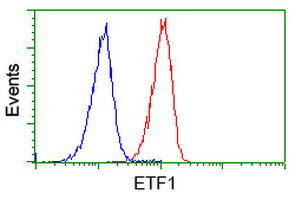 ETF1 Antibody in Flow Cytometry (Flow)