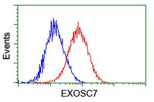 EXOSC7 Antibody in Flow Cytometry (Flow)