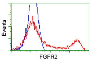 FGFR2 Antibody in Flow Cytometry (Flow)