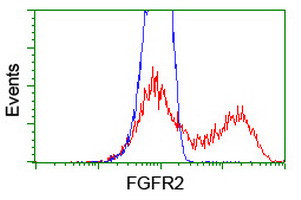 FGFR2 Antibody in Flow Cytometry (Flow)