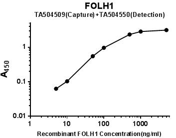 FOLH1 Antibody in ELISA (ELISA)