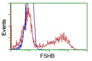 FSHB Antibody in Flow Cytometry (Flow)