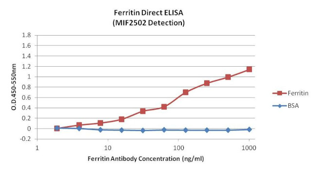 Ferritin Antibody in ELISA (ELISA)