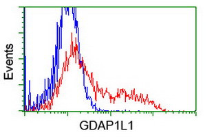 GDAP1L1 Antibody in Flow Cytometry (Flow)