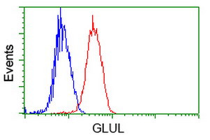 GLUL Antibody in Flow Cytometry (Flow)