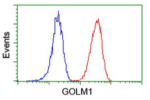 GOLM1 Antibody in Flow Cytometry (Flow)