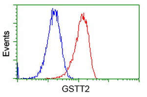 GSTT2 Antibody in Flow Cytometry (Flow)