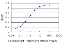 EP300 Antibody in ELISA (ELISA)