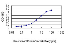 ICOSLG Antibody in ELISA (ELISA)