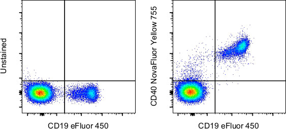CD40 Antibody in Flow Cytometry (Flow)