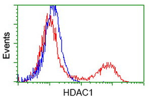 HDAC1 Antibody in Flow Cytometry (Flow)