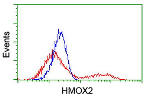 HMOX2 Antibody in Flow Cytometry (Flow)