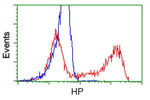 HP Antibody in Flow Cytometry (Flow)