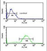 HSD11B2 Antibody in Flow Cytometry (Flow)