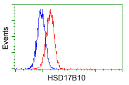 HSD17B10 Antibody in Flow Cytometry (Flow)